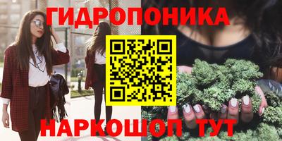 сатива Вышний Волочёк