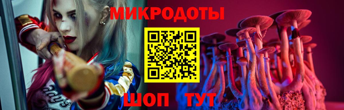 Псилоцибиновые грибы Psilocybe Бийск