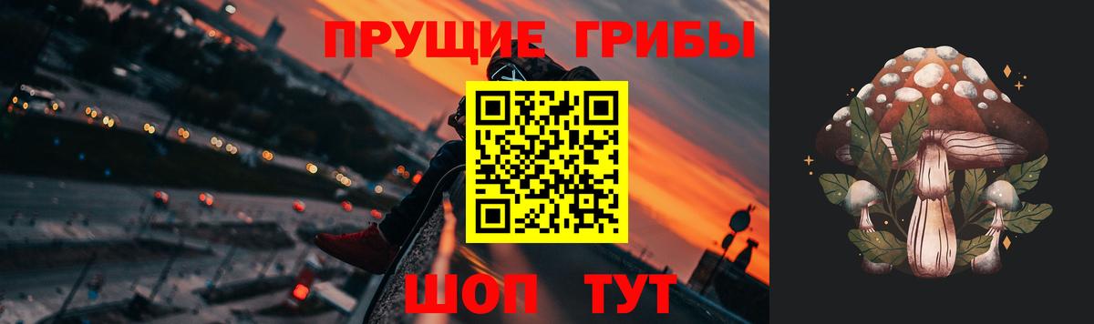 Псилоцибиновые грибы Psilocybe  Вход с VPN  Бийск 